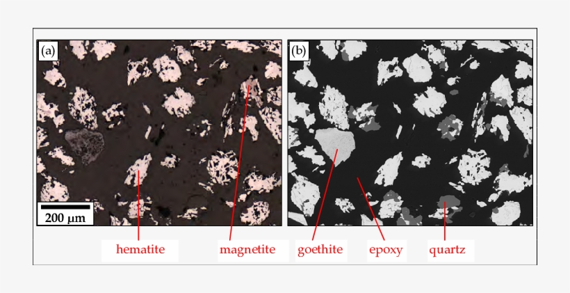 Images Of An Iron Ore Sample Acquired On Reflected - Reflected Light Microscope Vs Sem, transparent png download