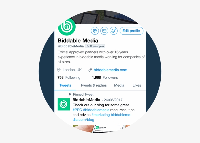 Biddable Media Twitter Profile - Twitter, transparent png download