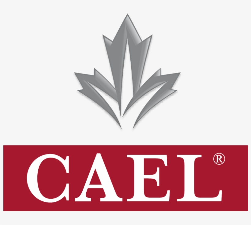 Cael Assessment Test Takers Preparation Guide, transparent png download