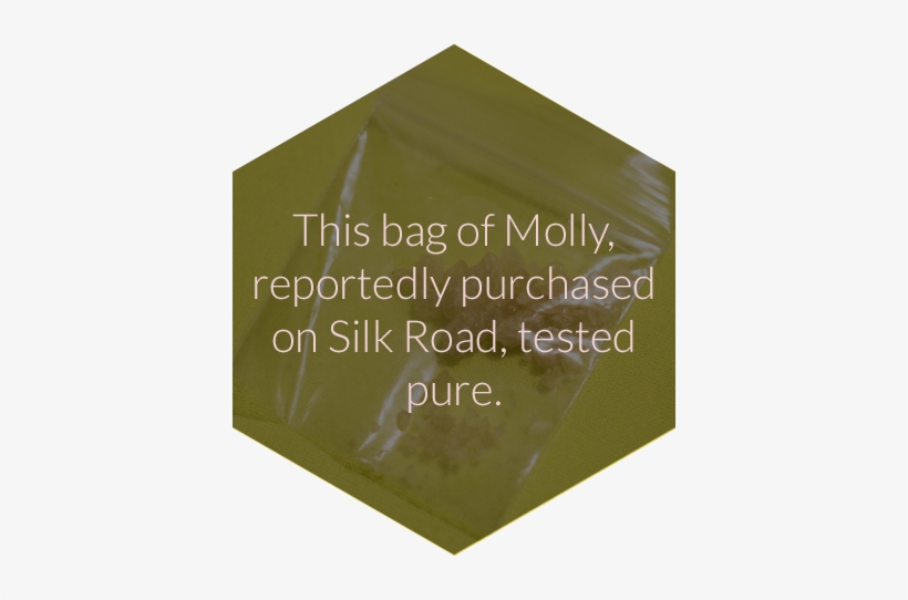 “if I Hear One More Person Say That 'molly' Means A - Plywood, transparent png download