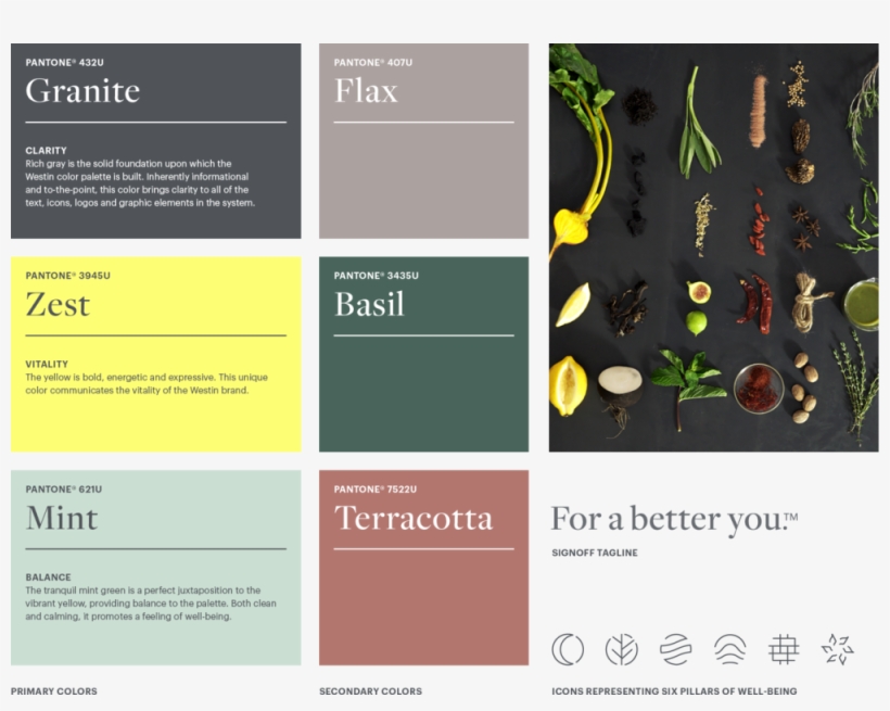 Wst Visid Mockups Faby, transparent png download