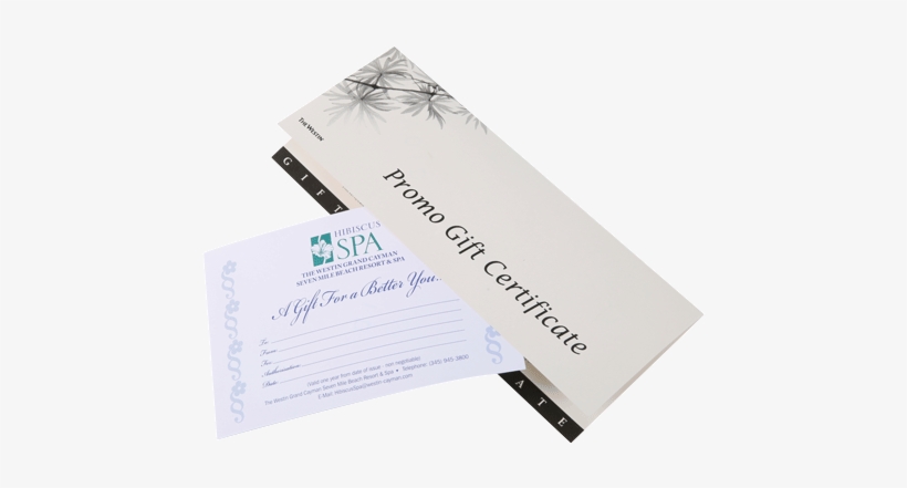 The Westin Hibiscus Spa The Westin - Westin Hotels & Resorts, transparent png download