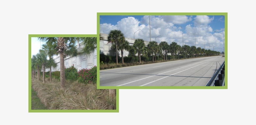 Landscaping Along State Road 80 - Road, transparent png download