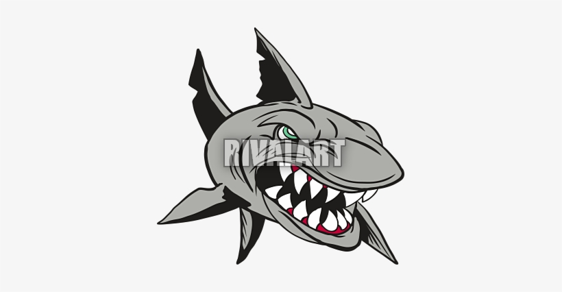 Clipart Info - Sharks, transparent png download