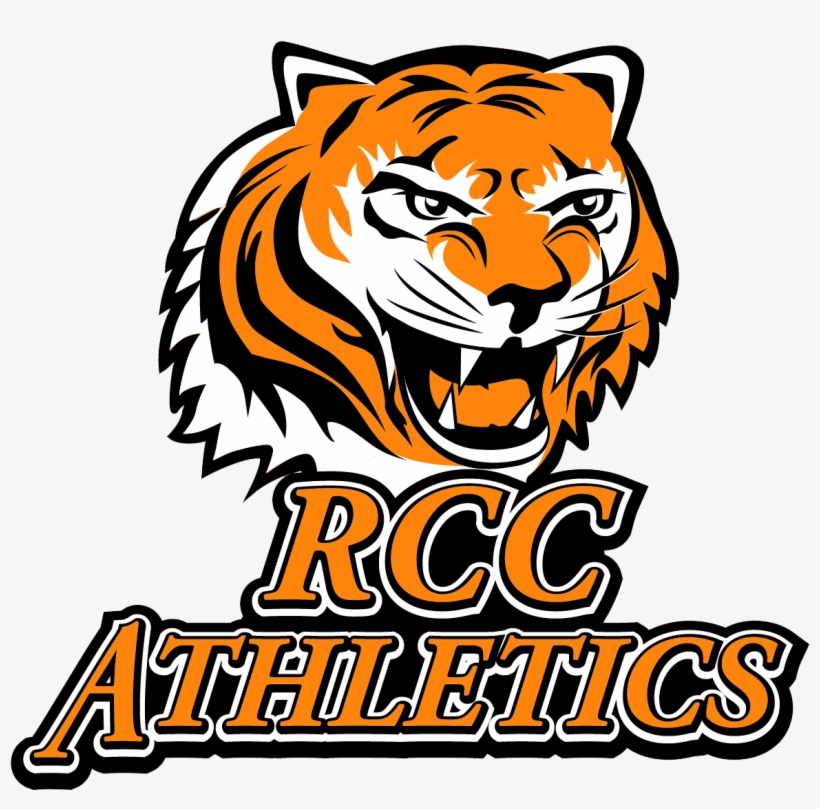 Bayside Tigers Png - Roxbury Community College Tigers, transparent png download