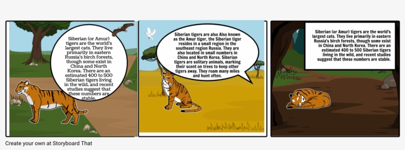 Siberian Tigers - Siberian Tiger, transparent png download