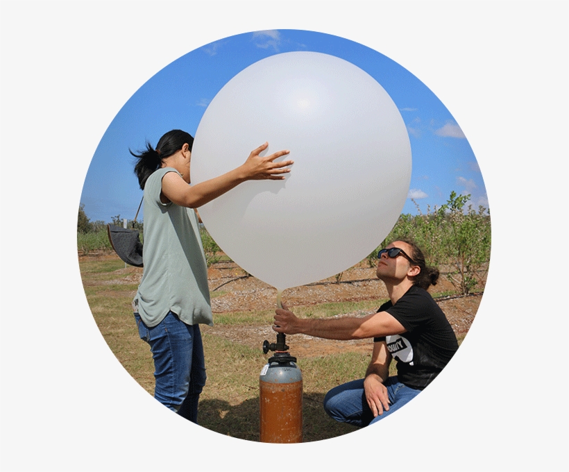 Up, Up And Away With Bee-scented Balloons - Sphere, transparent png download