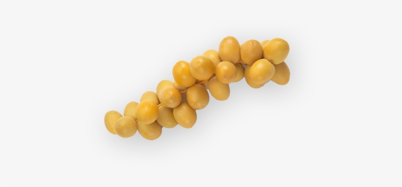 Fresh Dates Png, transparent png download