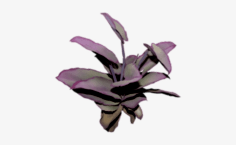 Scroll Down - Iris, transparent png download