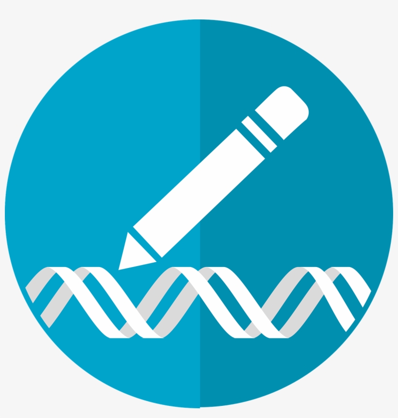 Why We Need To Discuss Gene Editing And Ethics - Gene Editing Icon, transparent png download
