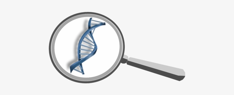 What's In Your Genes - Mug, transparent png download