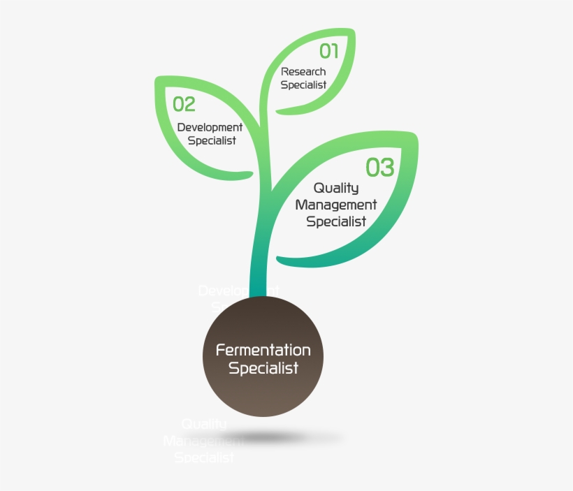 01 Research Specialist 02 Development Specialist 03 - Circle, transparent png download