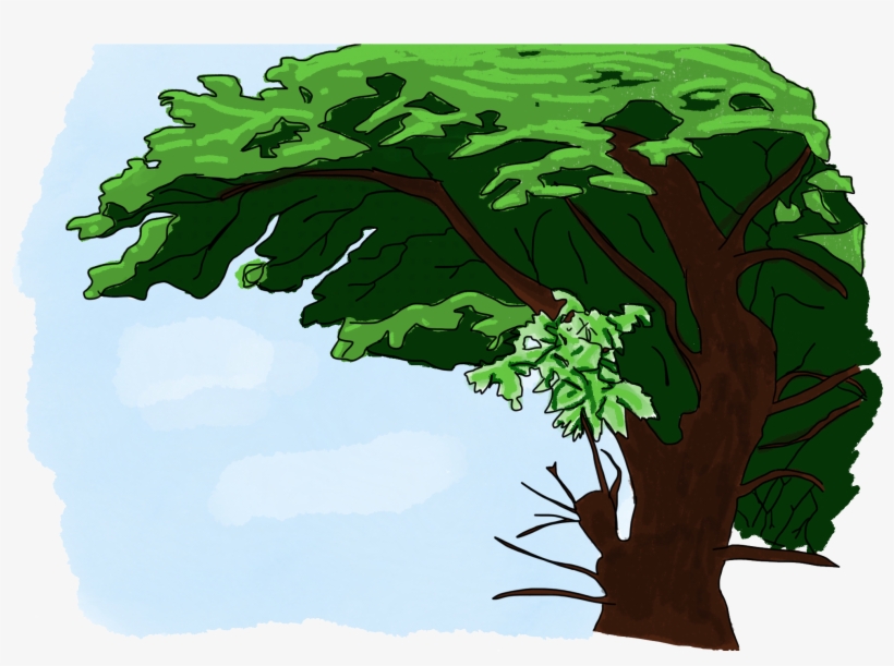 Tree 01 - Tree, transparent png download