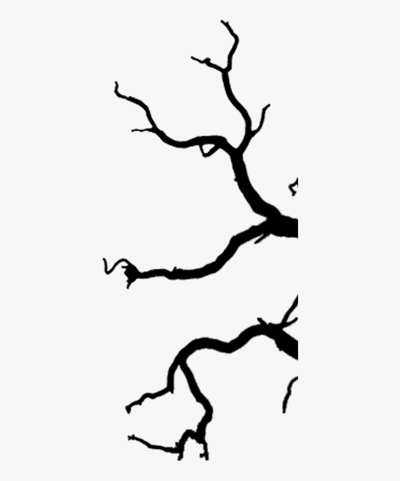 24 5825 Tree@2x 26 Apr 2016, transparent png download