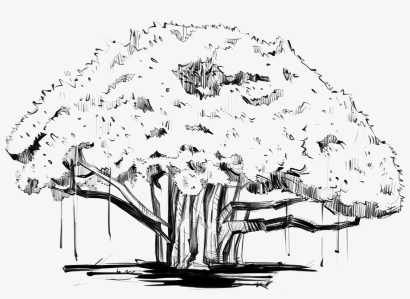 Milestones Dalal & Broacha Has Always Followed A Path - Tree, transparent png download