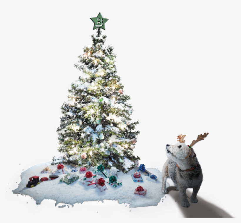 Christmas Tree And Max The Dog - Tofu Snowfall Projector Fairy Light Christmas Snowflake, transparent png download