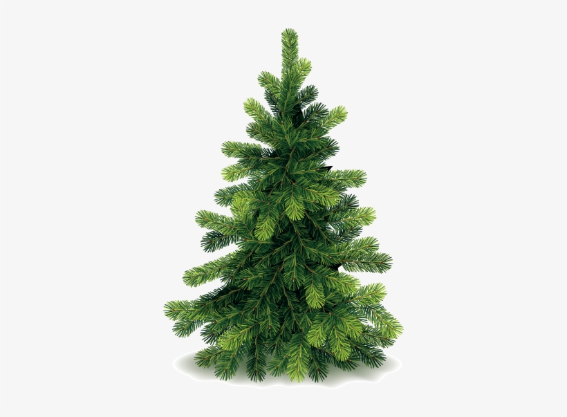 Pf 2016 - Ray Service - - Christmas Tree And Wreath Clipart, transparent png download