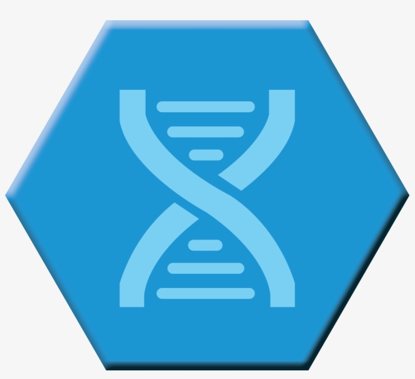 Genes - Quiz, transparent png download