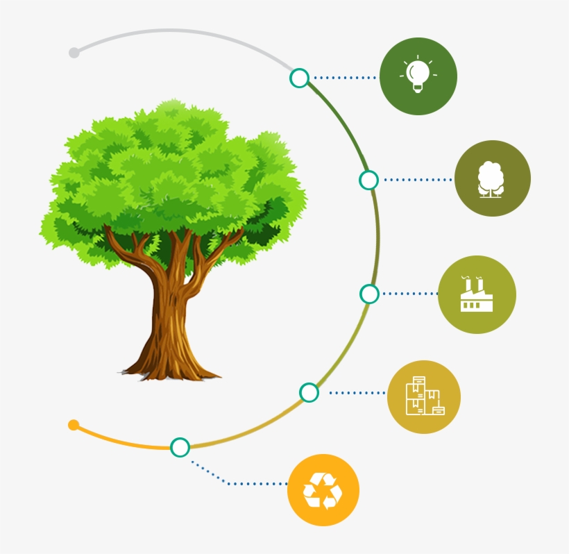 How A Tree Becomes A Box - Le Tresor Du Grand Chene, transparent png download