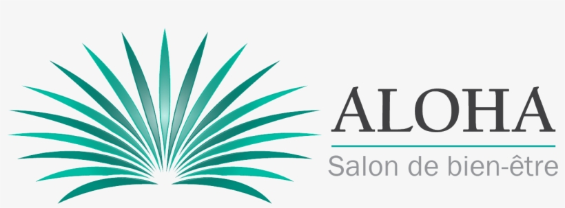 Accueil - Italconsult, transparent png download