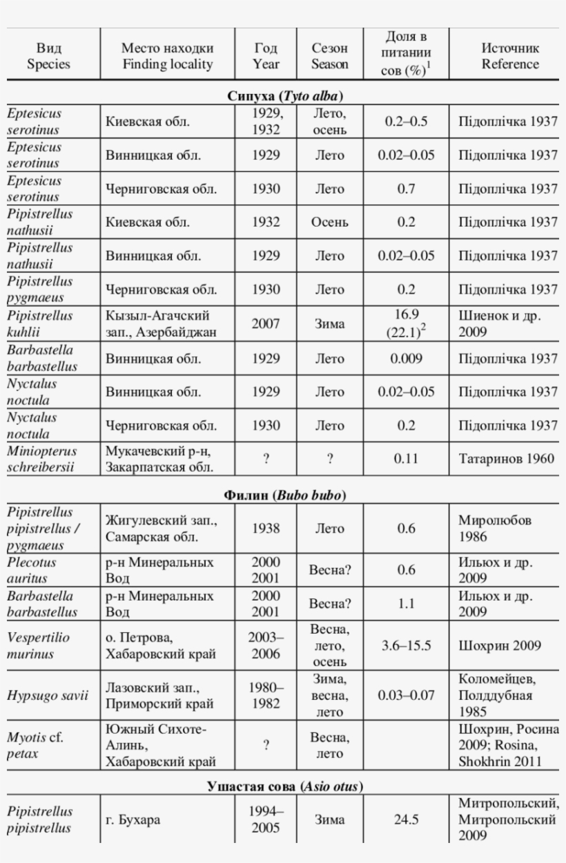 Records Of Bats In The Diet Of Owls In The Territory - Food, transparent png download