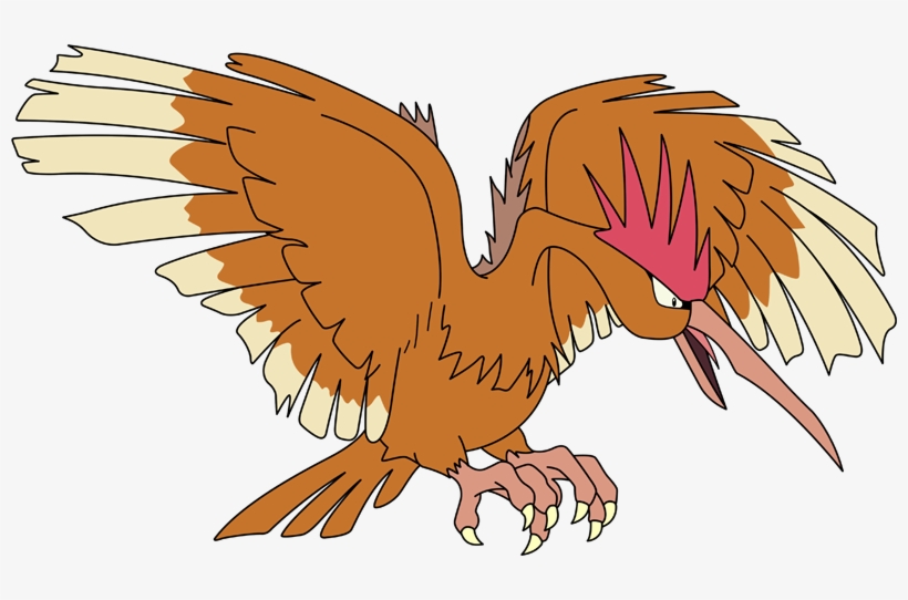 Stats, Moves, Evolution, Locations & Other Forms - Pokemon Fearow, transparent png download