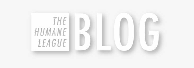 The Humane League Blog - Handling Stress, transparent png download
