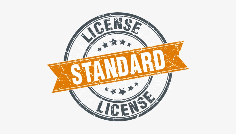License Stamp Standard - Custom 8 Piece Yellow 14k Solid Gold Grillz Hip Hop, transparent png download