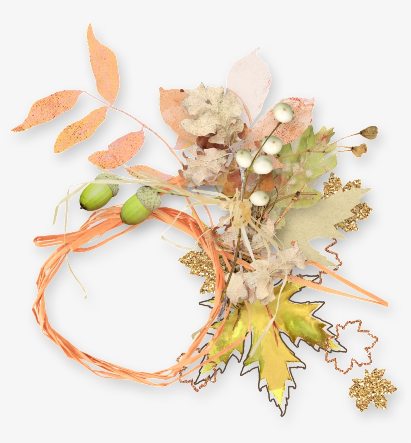 Este Gráficos É Molduras Das Plantas Sobre - Rosa Glauca, transparent png download