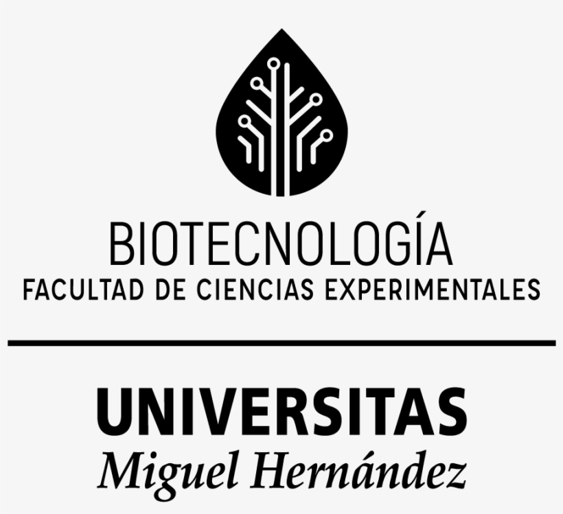 Articulación Principal En Una Tinta Png - Universidad Miguel Hernández De Elche, transparent png download