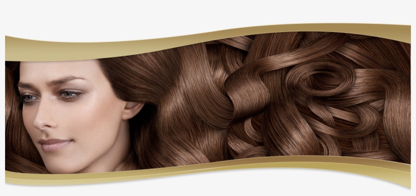 Pelucas Sinteticas Comodas Y Livianas - لون شعر كاكاو, transparent png download