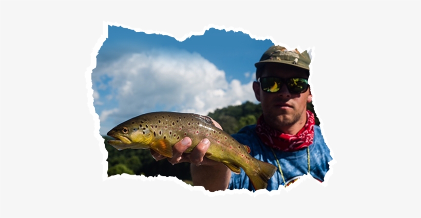 Man Holding A Fish - Man, transparent png download