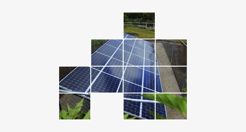 Banner Planta Interconectada - Artificial Turf, transparent png download