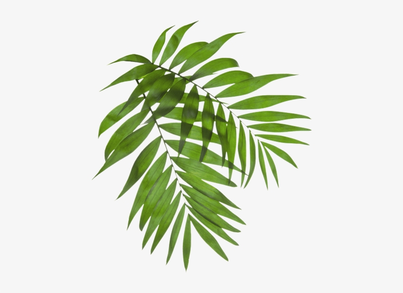 Baspul, Land Of Emotions, Is A Community Planned And - Uptownholic Round-neck Cotton Top As Shown, transparent png download