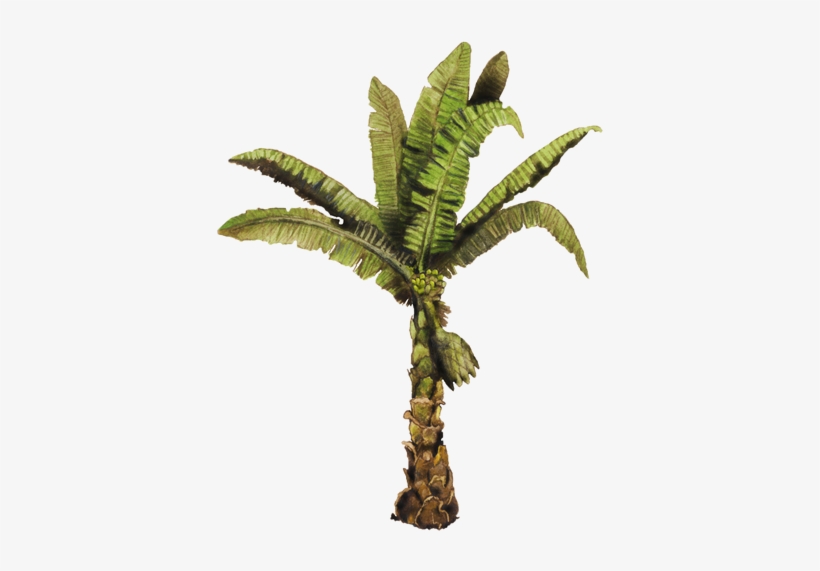 Vecinos Verdes - Planta De Platano Png, transparent png download