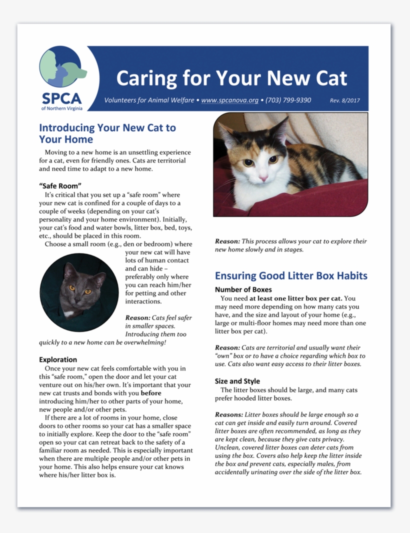 Spca Nova Flyer - Portable Network Graphics, transparent png download
