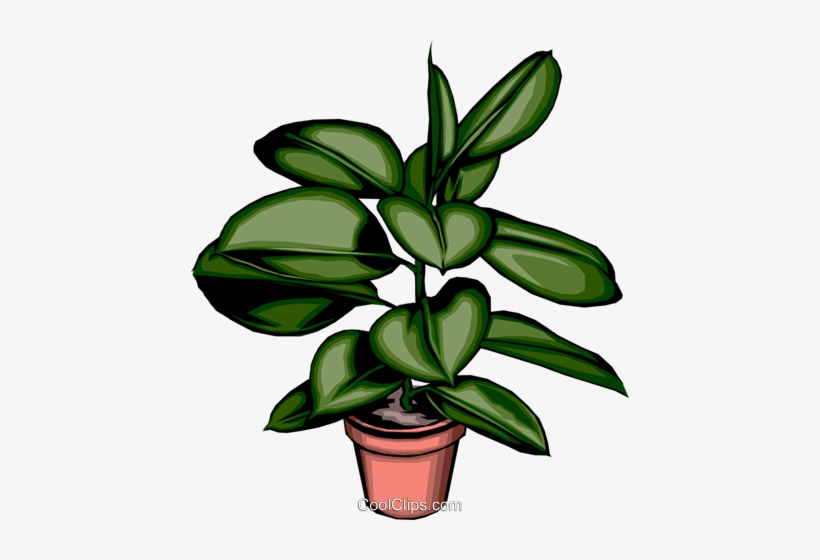 Potted Plant - Plant Clip Art, transparent png download