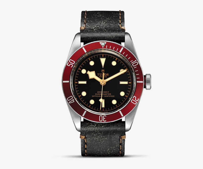 41 Mm Steel Case - Tudor Heritage 79230r 0002, transparent png download
