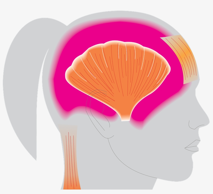 2w2111 Migraines - Migraine, transparent png download