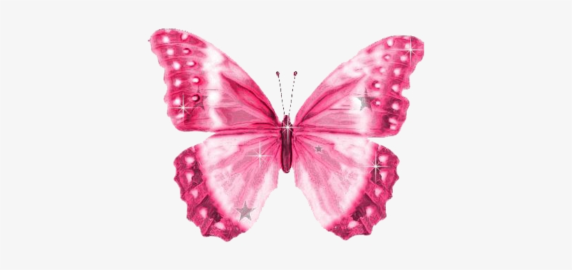 Http - //i46 - Tinypic - Com/dfzx1z - Http - //i45 - Pink Butterfly Clip Art, transparent png download