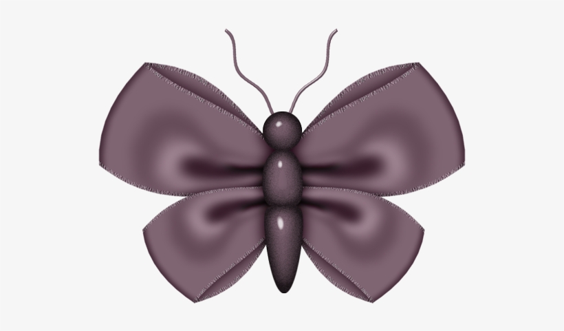 Album - Lepidoptera, transparent png download