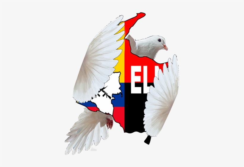 La Paz Es La Más Noble, Justa Y Legítima Aspiración - Rock Dove, transparent png download