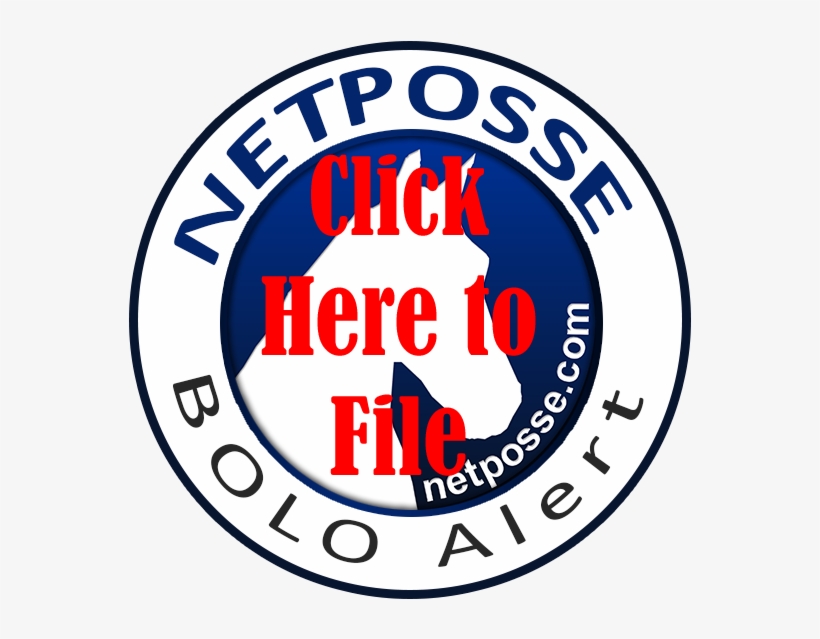 Your Account To File A Bolo - Knitting Factory Nyc Logo, transparent png download