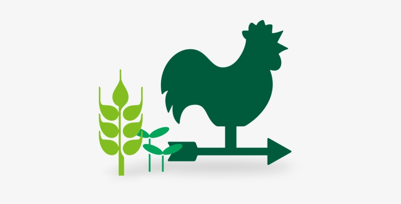 Farm & Ranch - Farm Png, transparent png download
