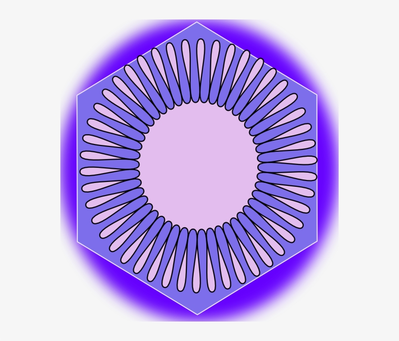 María, Sara Y Eduardo - Molecular Dimension Of Oleic Acid, transparent png download