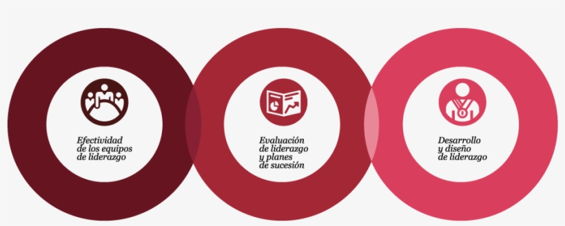 Realizamos Proyectos Enfocados A - Circle, transparent png download