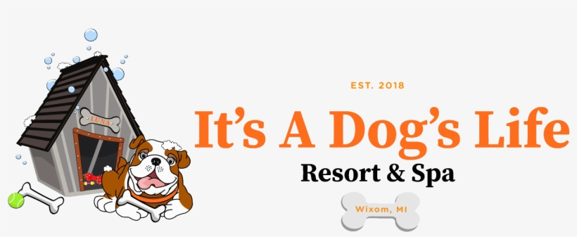 Suburban Collection Showplace, transparent png download