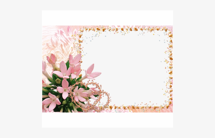 Your Photo Photo Frame - Address Book With Tropical Flowers: Address Logbook, transparent png download