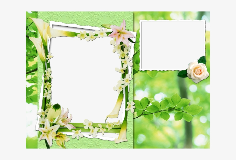 Flores Junho/2012 - Aspen For Women By Coty, 0.75 Oz. Cologne Spray, transparent png download