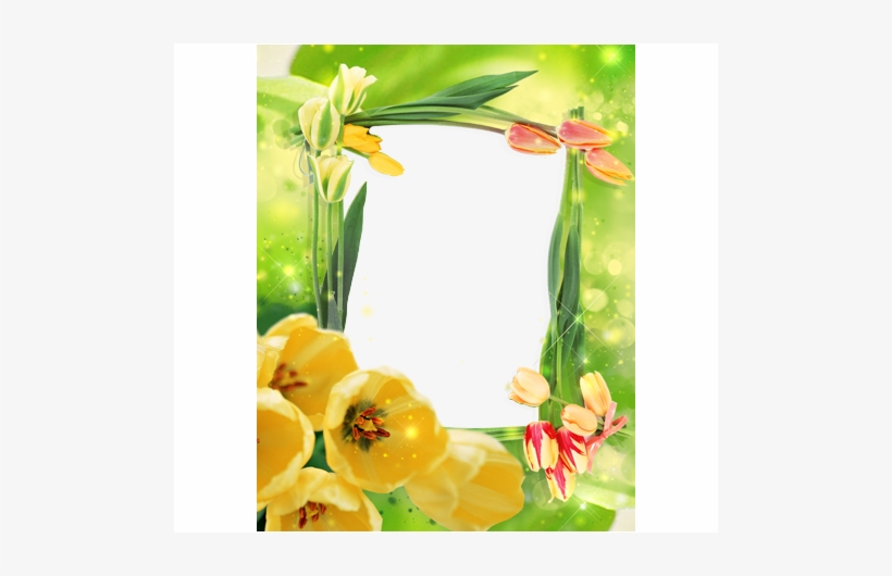 Your Photo Photo Frame - Music, transparent png download